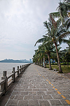 cau rong bạch kim