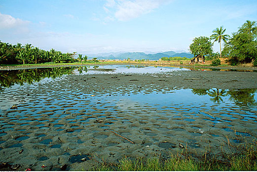 tỷ lệ kèo nhà cái ma cao