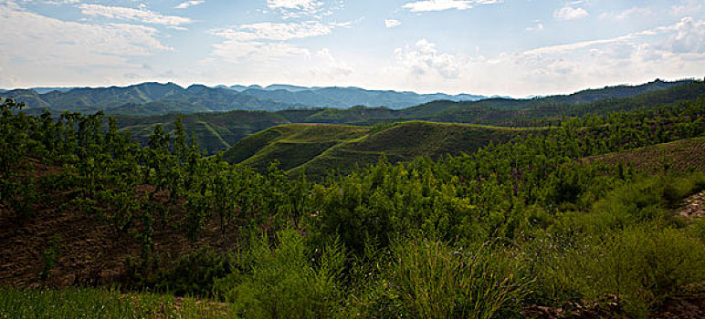 quả xổ