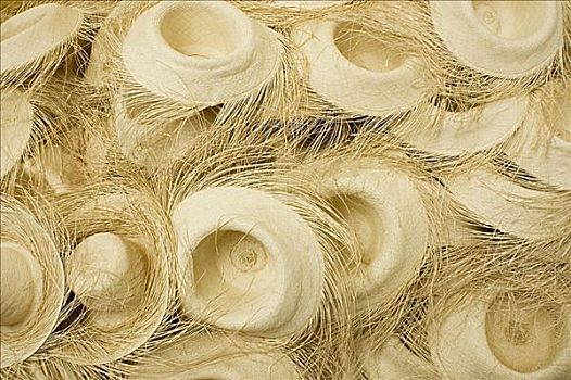 kết quả xổ số hà nội