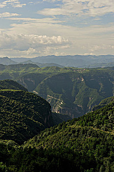 thần phúc đến