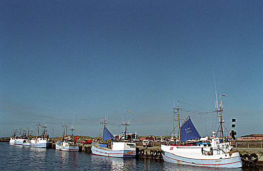 lo chinh xac 100