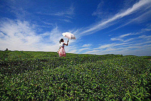 thống kê xổ số