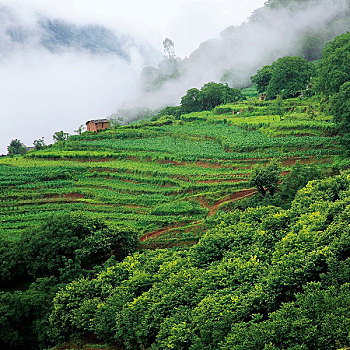 soi cầu tứ quý 7