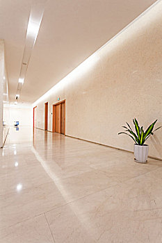 cầu bạch thủ long an
