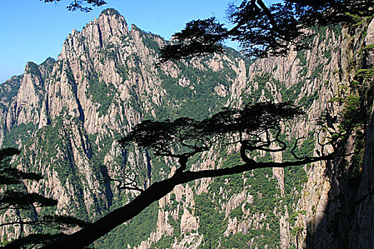 lo bach thu khung 3 ngay 247