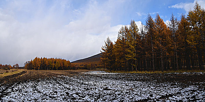 cau lo khung 2 ngay