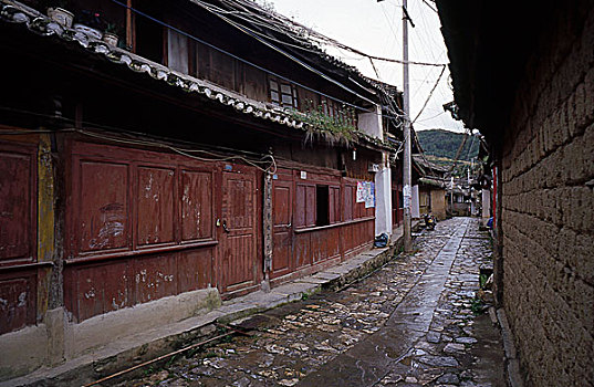 soi cầu rong bạch kim