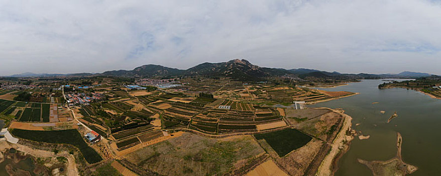 lô trực tuyến