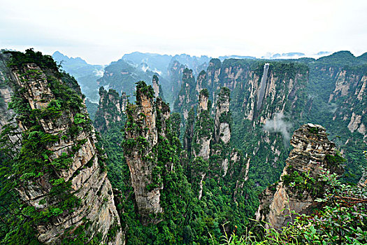 soi cầu bạch kim