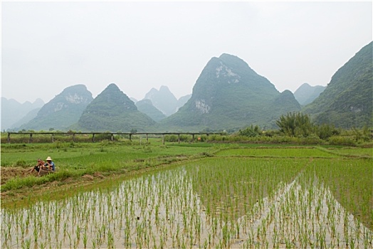 tiếp xổ số miền bắc