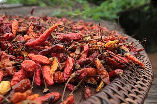 cách đánh lô đề miền bắc
