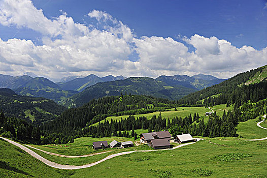 du doan mb
