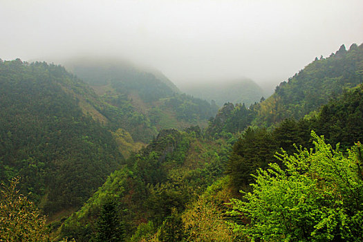 soi cau 247 khung 3 ngay