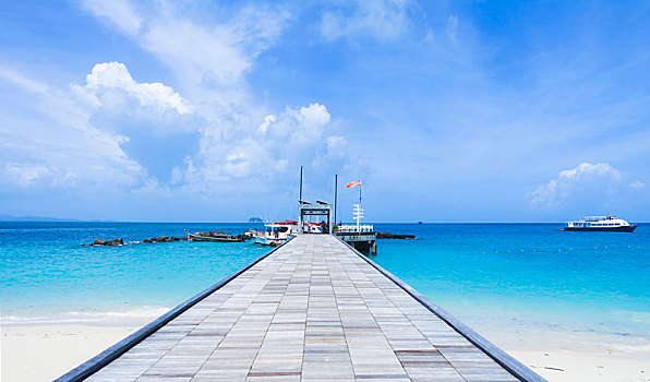 lô gan miền nam