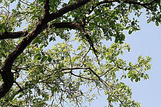 cầu đẹp hôm nay
