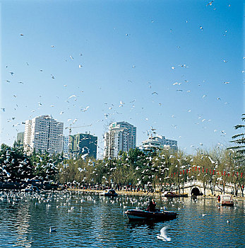 chơi đề trực tuyến