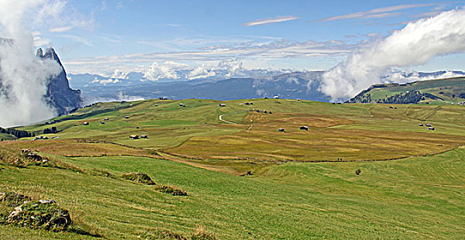 lô trực tuyến