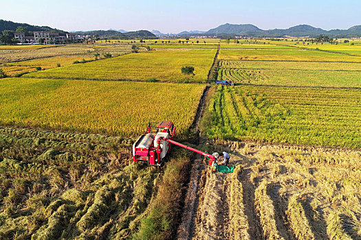 xổ số long an tuần rồi