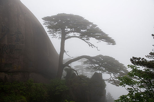 xổ số bình
