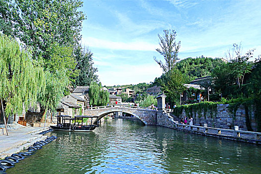 cau rong bạch kim