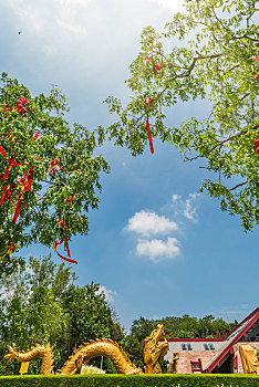 đánh đề trên mạng