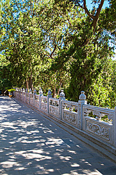 trực tiếp xổ số tiền giang
