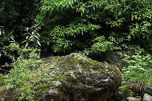 soi cau loto bach thu mb