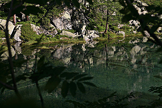 du doan rong bach kim