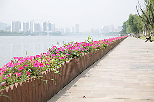 soi cầu lô tô miền bắc hôm nay