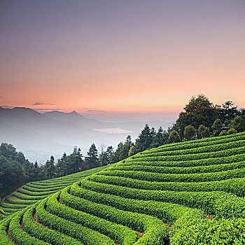 dự đoán lô miền bắc hôm nay