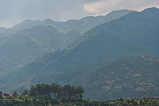 xổ