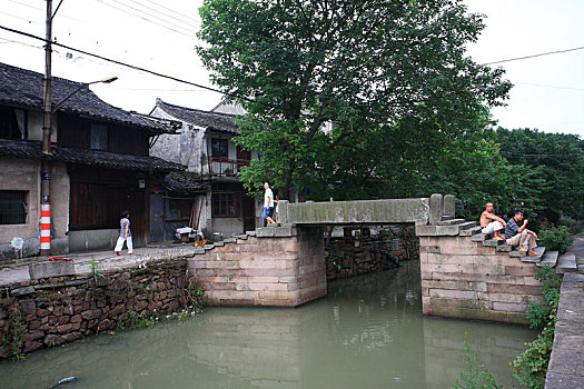 rong bach